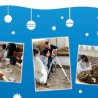 Bild zum Artikel BF.Weihnachtsspende 2021